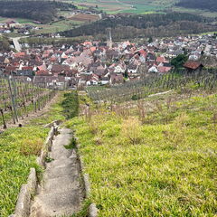 23-03-17 14-15-28 4919